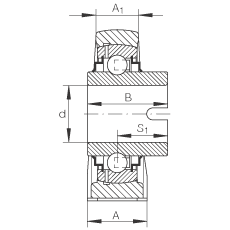 直立式軸承座單元 RASEL20-N, 鑄鐵軸承座，浮動軸承，內(nèi)圈有驅(qū)動槽，R 型密封